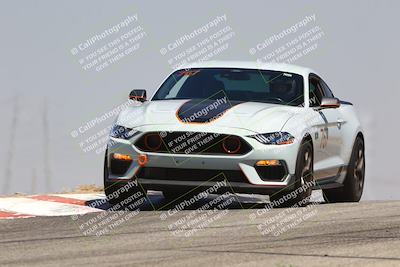 media/Jul-26-2025-Speed Ventures (Sat) [[fe569e6cf0]]/Black Group/Grapvine/